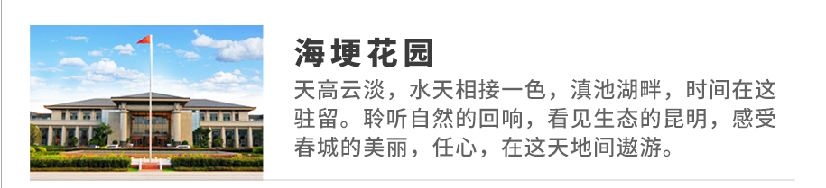 二級頁下屬品牌_01.jpg